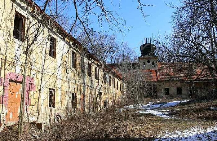Cibulka