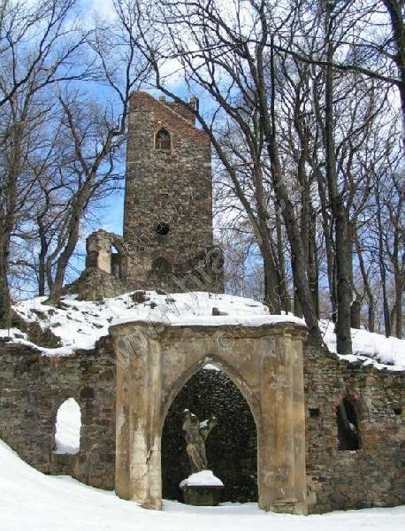 Cibulka
