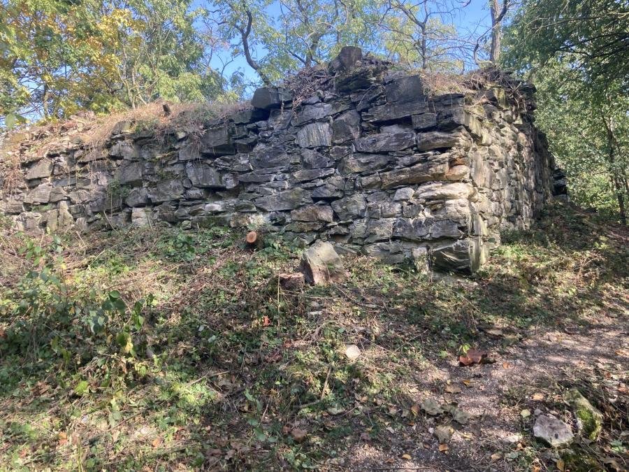 Číčovický kamýk