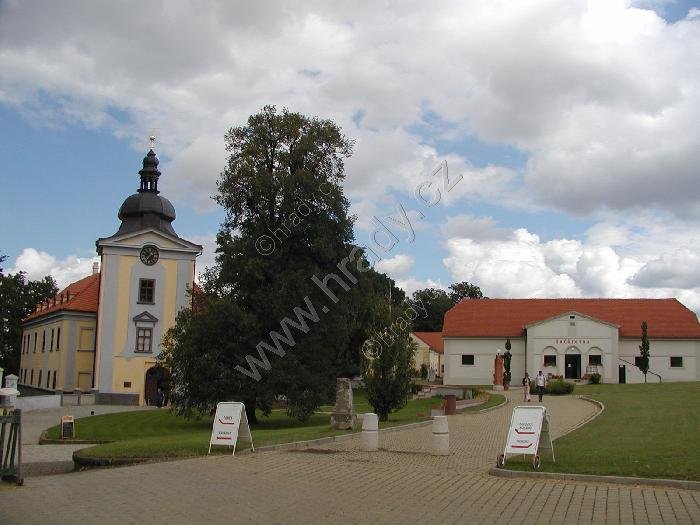 Ctěnice