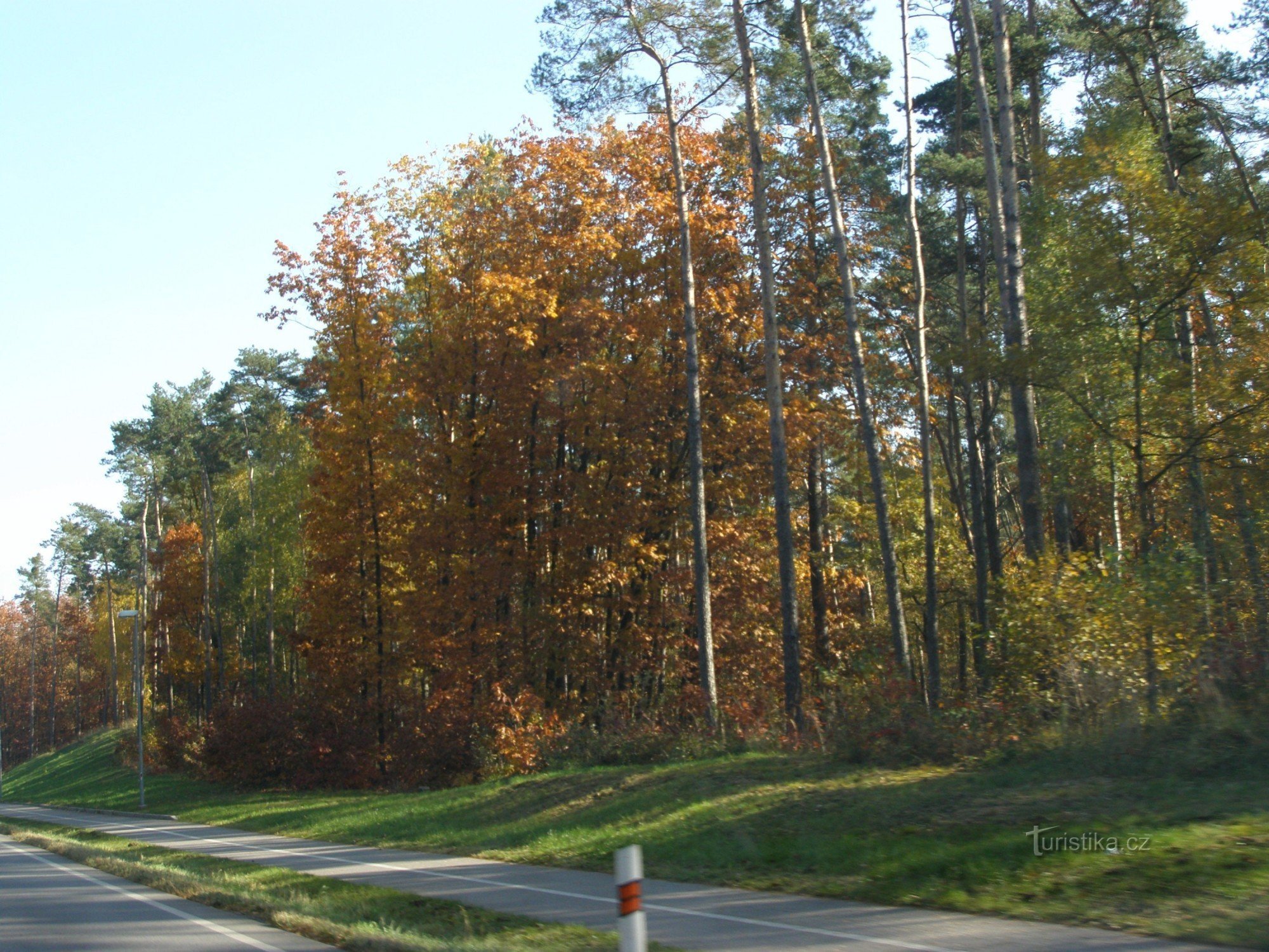 Cyklostezka Živanice - Lázně Bohdaneč