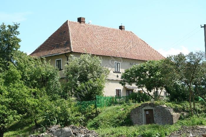 Dašice
