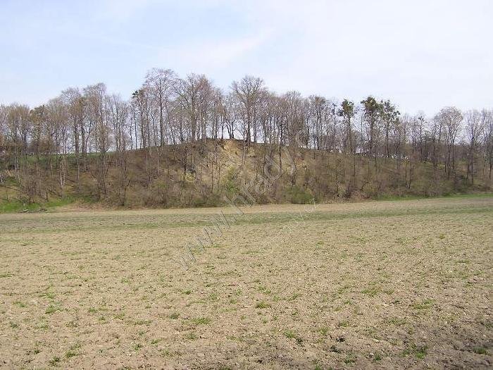 Dětřichovice u Příbora