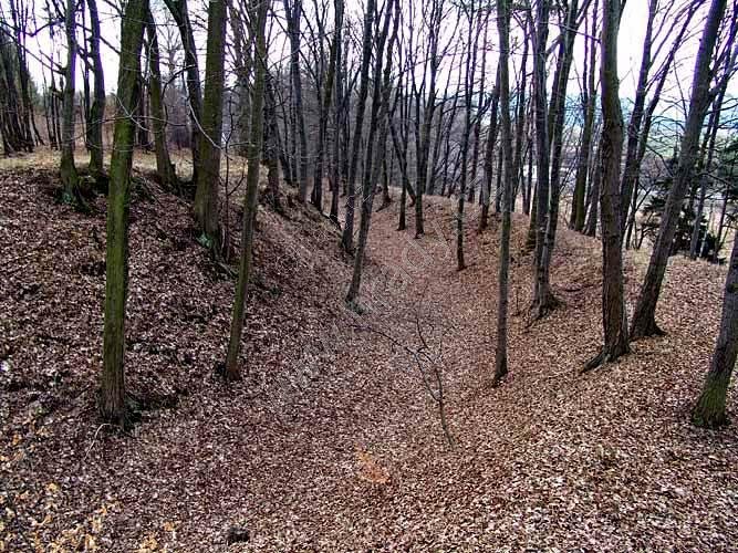 Dlouhá Loučka