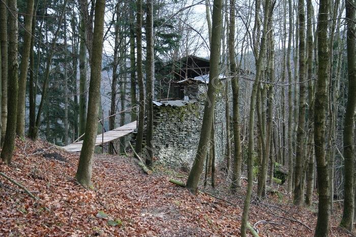 Dolní Štěpanice