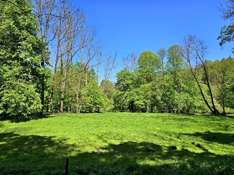 Domoradovický mlýn