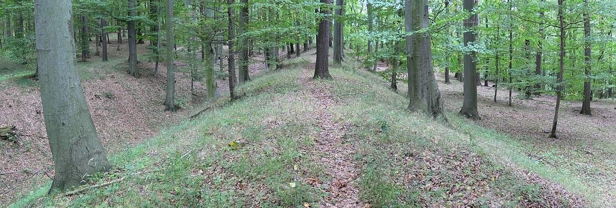 Doubravčice