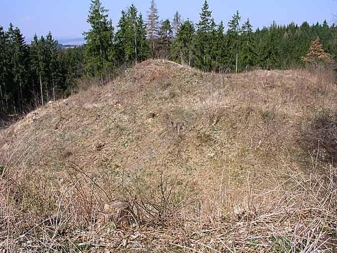 Doubravice nad Svitavou