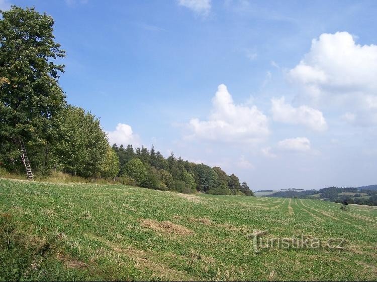 Doubravy: Posed na louce u Doubrav