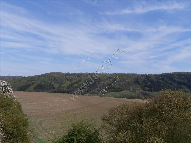 Dřevíč
