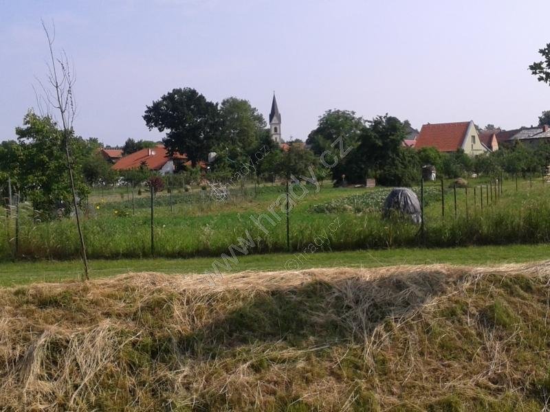 Držovice
