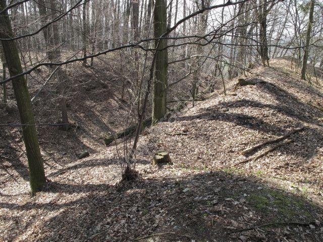 Dubenec