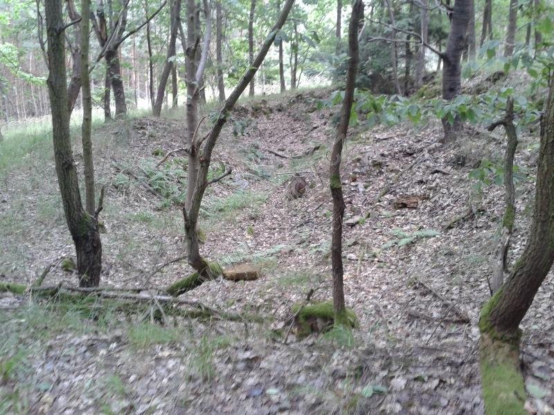 Dubový kopec