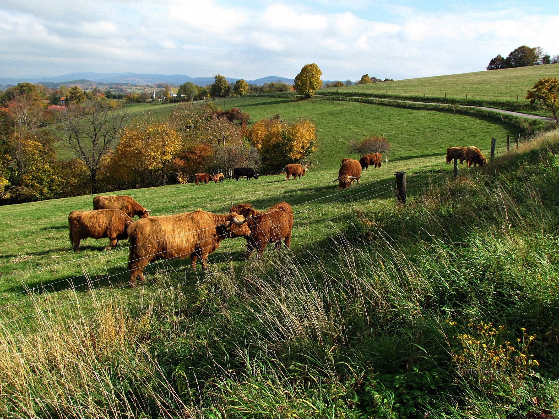 Ekofarma Lípa u Zlína