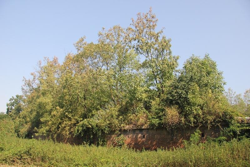 fort XV