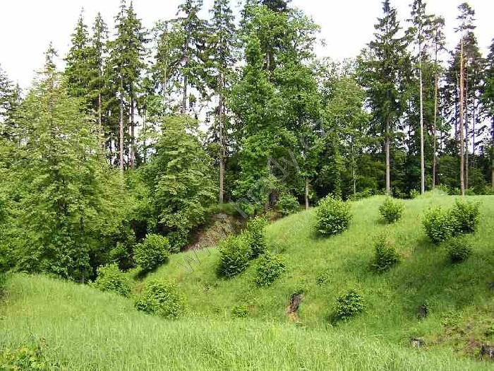 Frýdberk