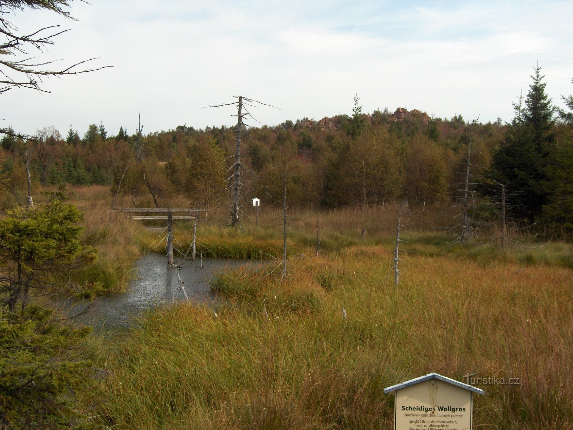Georgenfeldské rašeliniště