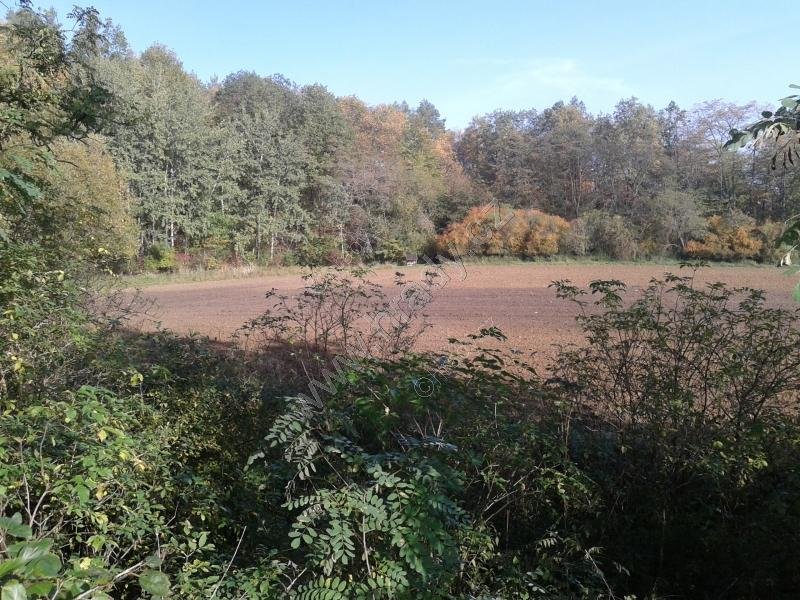 Gloše