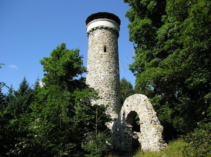 Hamelika