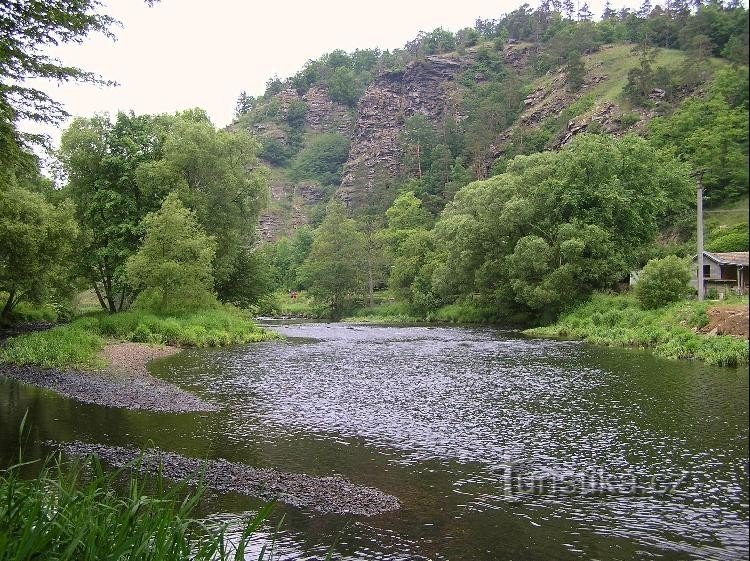 Hamerské vrásy: pohled z řečiště Dyje