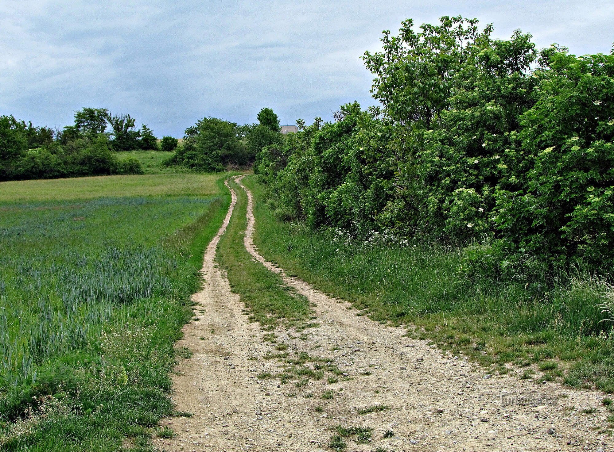 Hanáckou pahorkatinou - dokončení