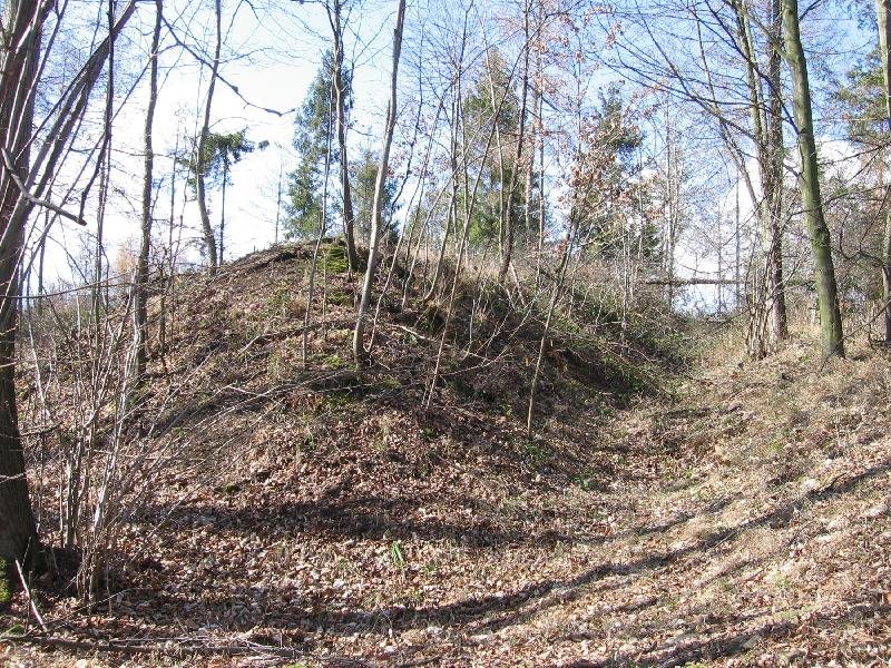 Hanuše