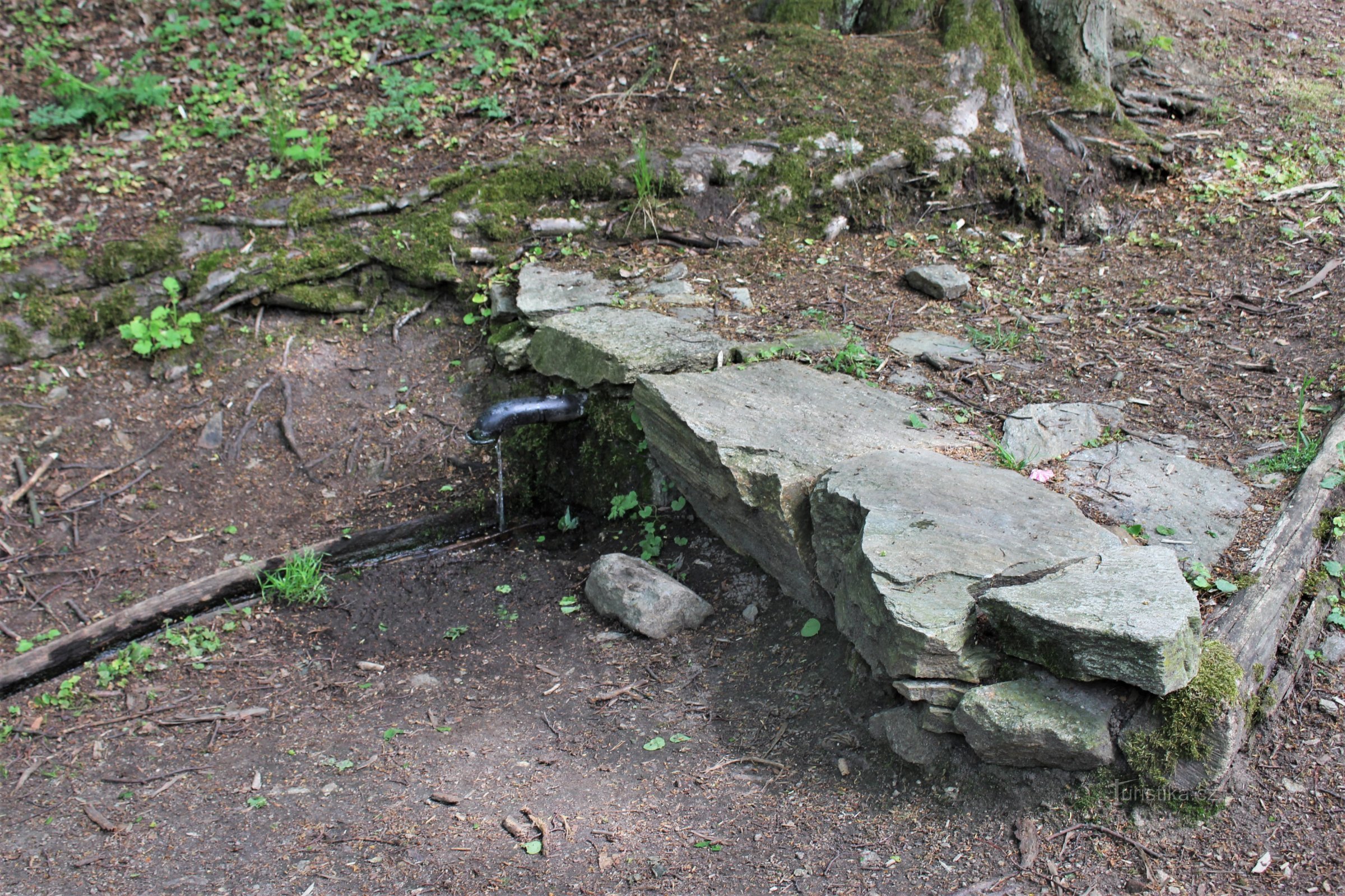 Havraníky - studánka Pod lipami