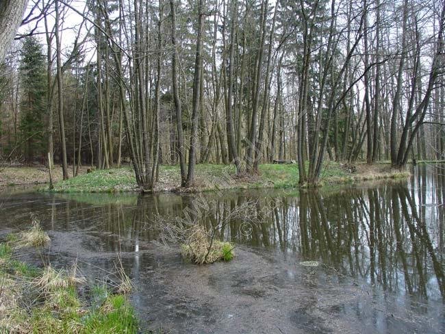Hluboká