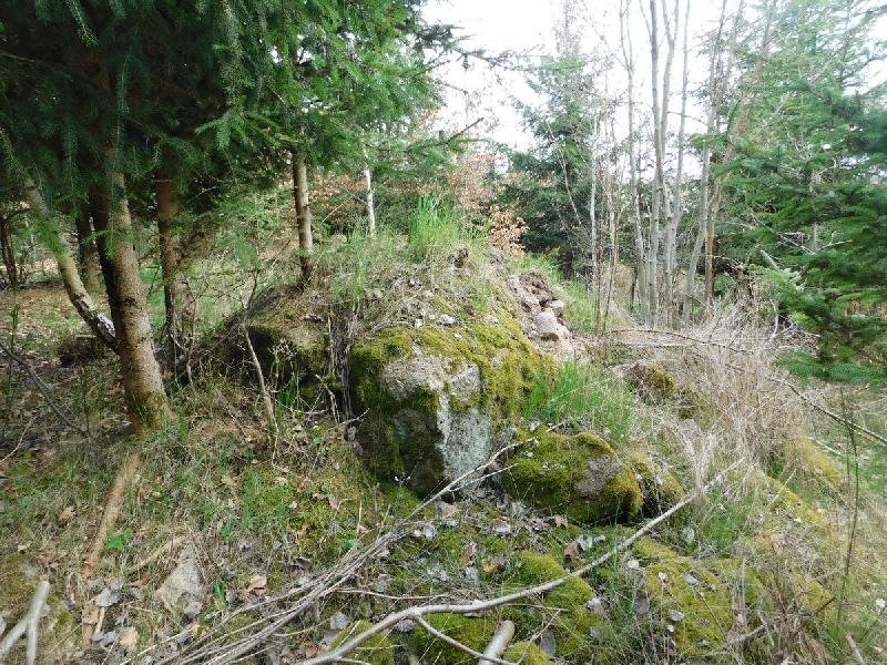 Höpperbirlova kaple