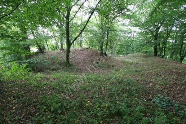 Holešice - severní tvrz