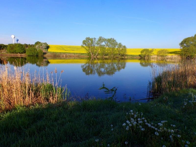 Holohlavský rybník