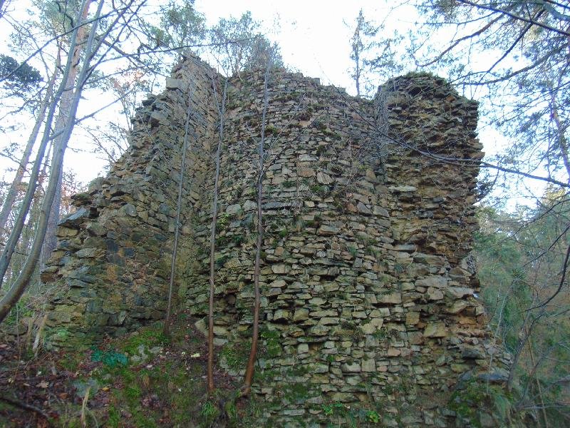 Holoubek