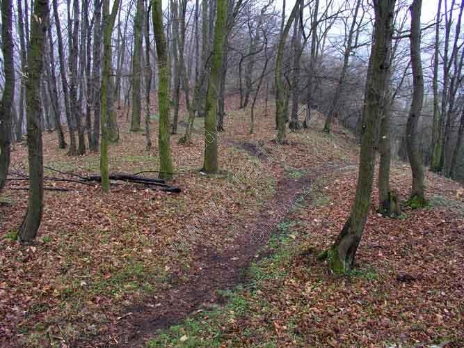 Horákovský hrad