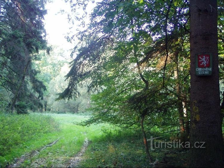 hořina: pohled na ceduli chráněné území