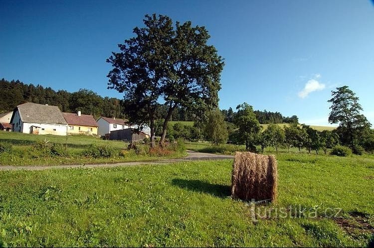 Horní Dvorce: osada u Sušice