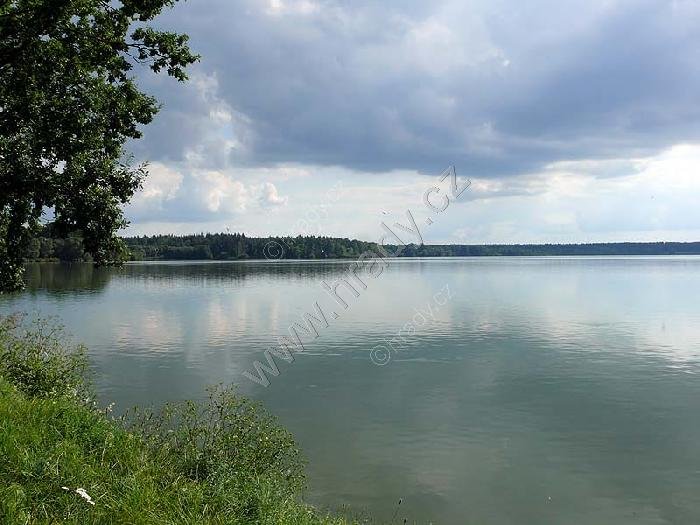 Horusický rybník