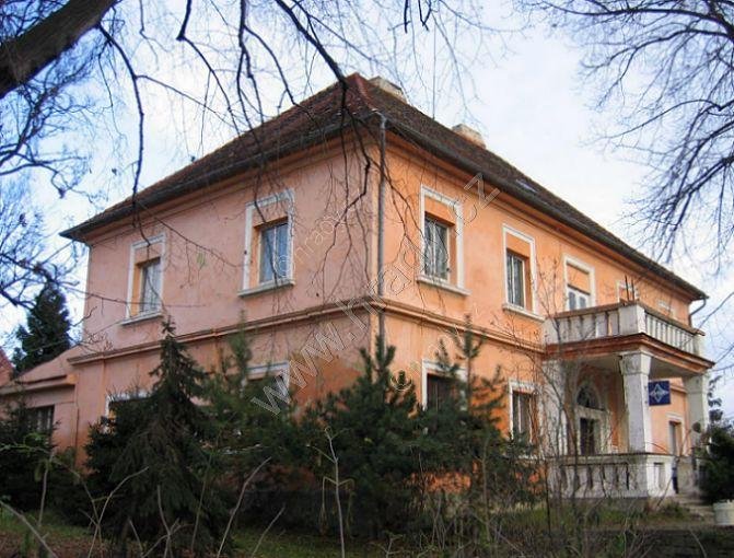 Hospozín