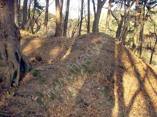 Hrad u Čtyřkol