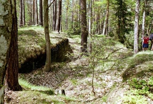 Hrad u Kvítkova