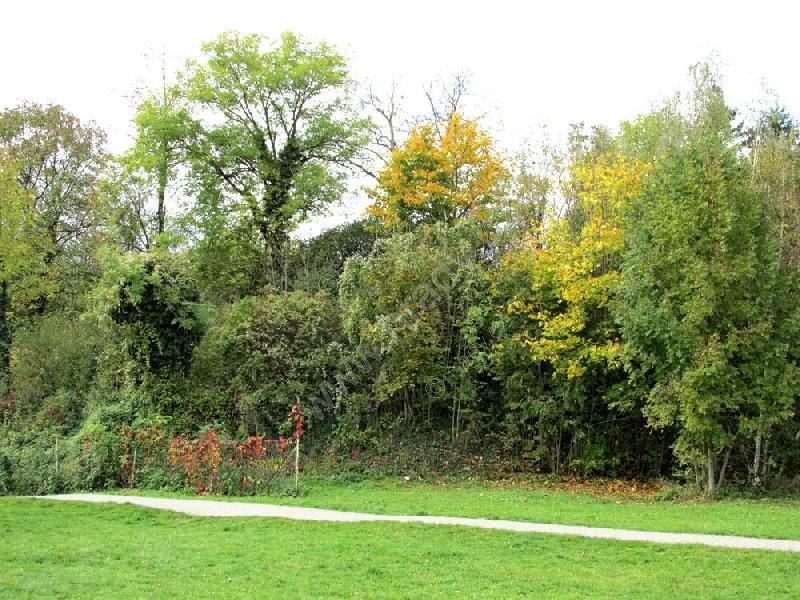 Hrádek