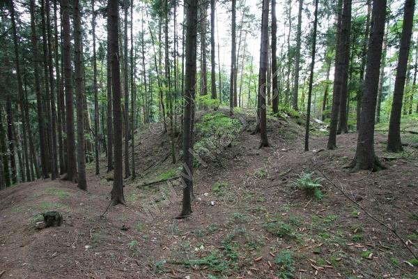 Hrádek u Podmok