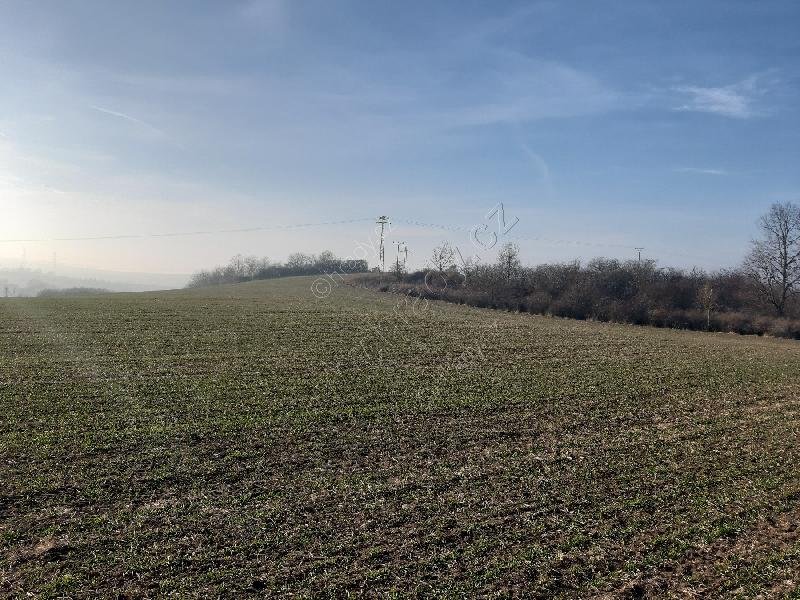 Hradiště