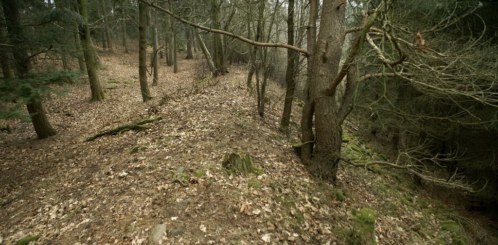 Hradiště Libětice