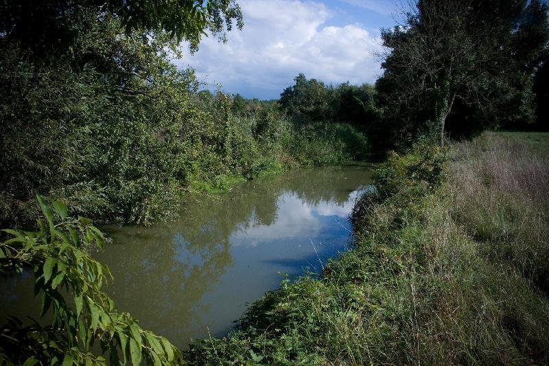 hradiště Mrlina