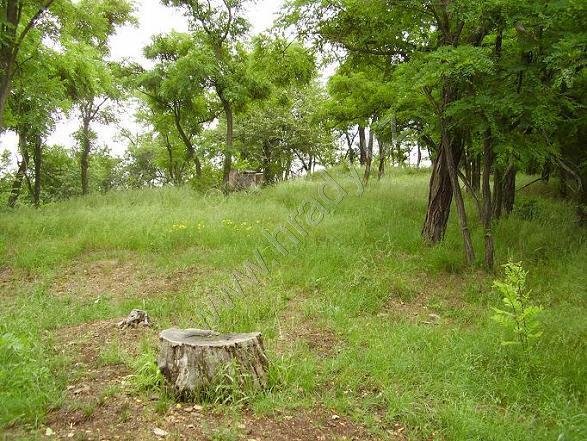 hradiště nad Javornicí