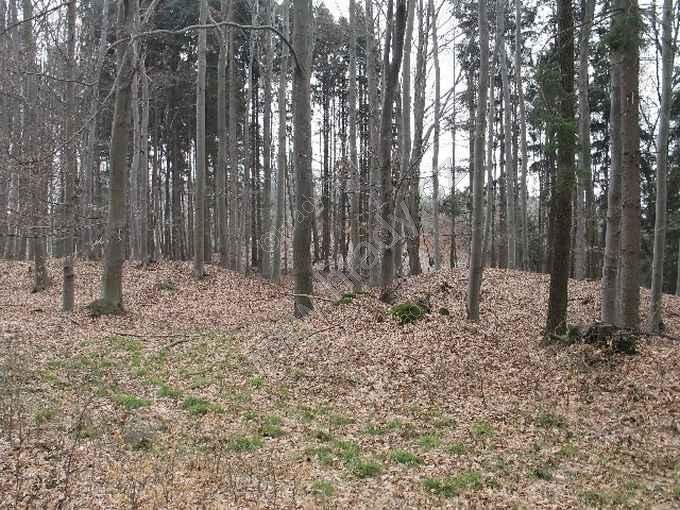 hradiště nad Semtěší