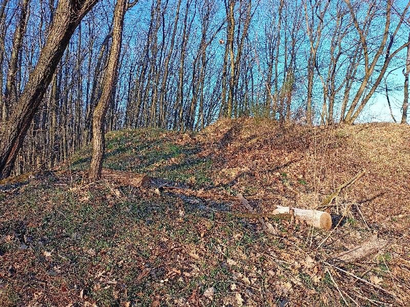 hradiště Písková Lhota