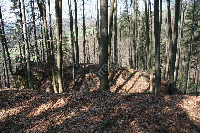 Hradiště u Dolních Štěpanic