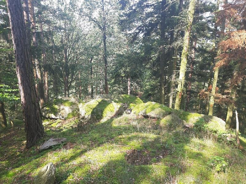 hradiště Záluží