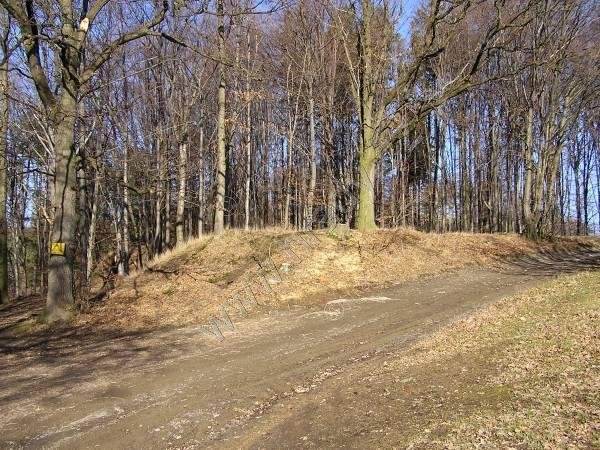 Hradní vrch